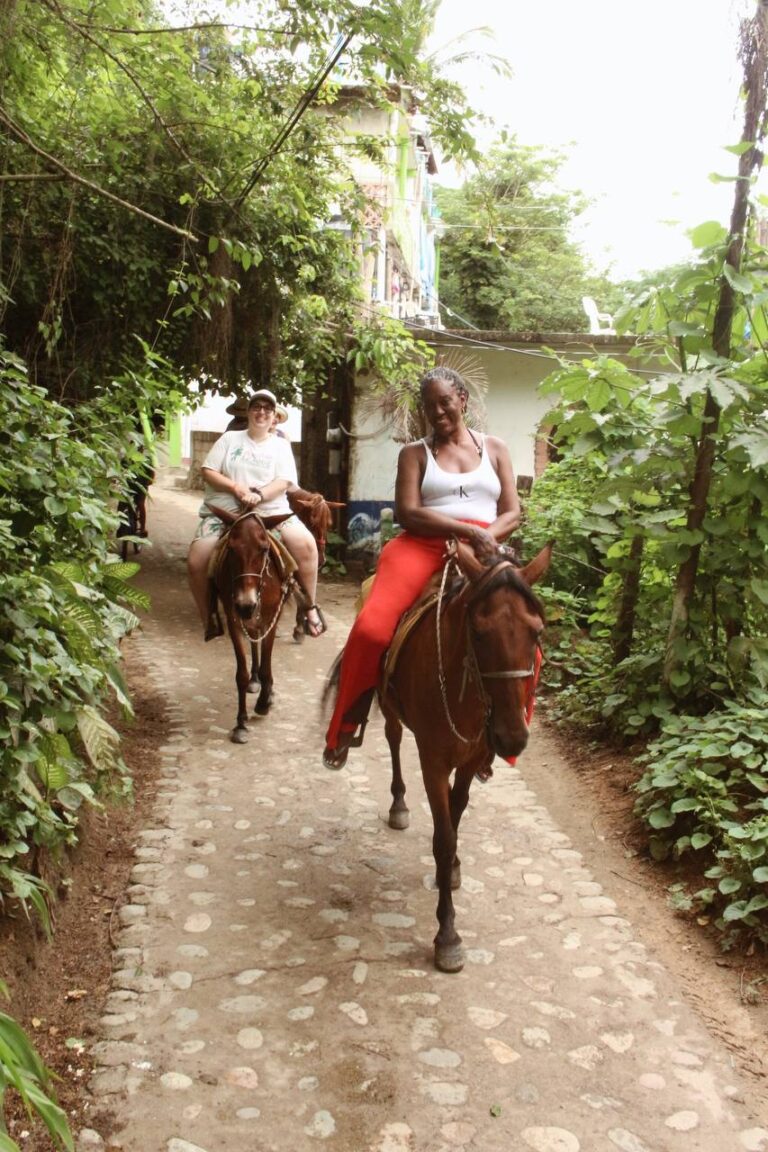 IMAGE 2021-07-12 17:23:27