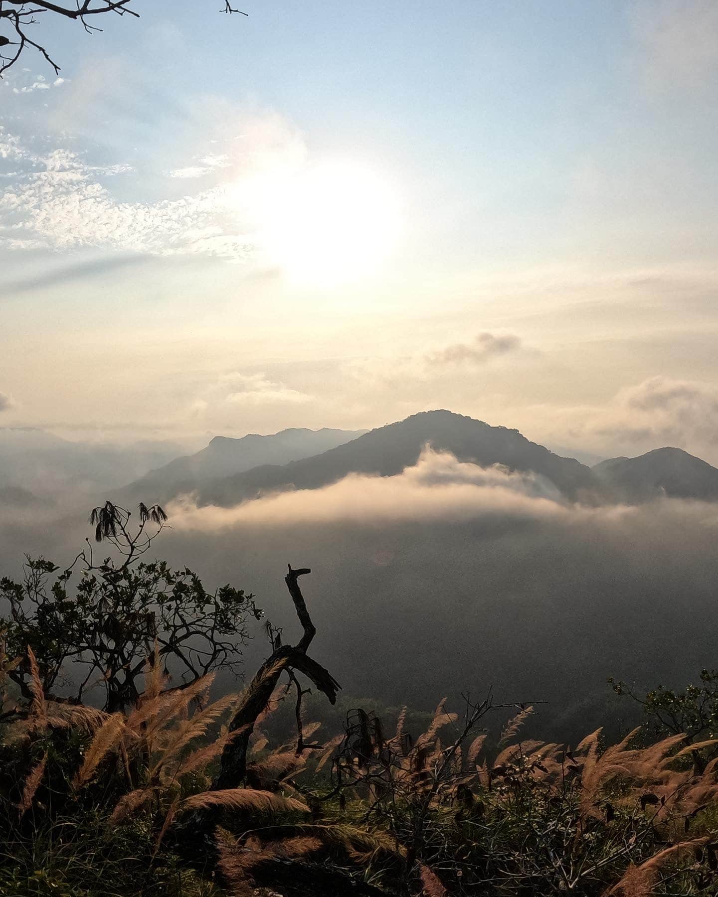 43B49B28-B0EE-42A9-88B4-D29119D9D066