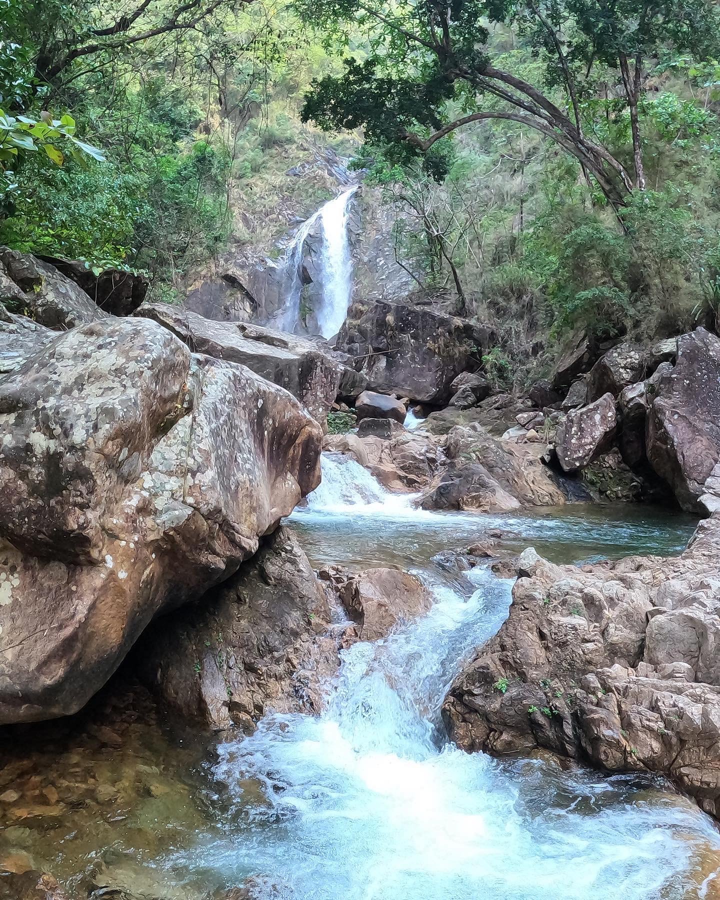 AC86AB85-F461-4BFB-A155-CD5B943F3A0E