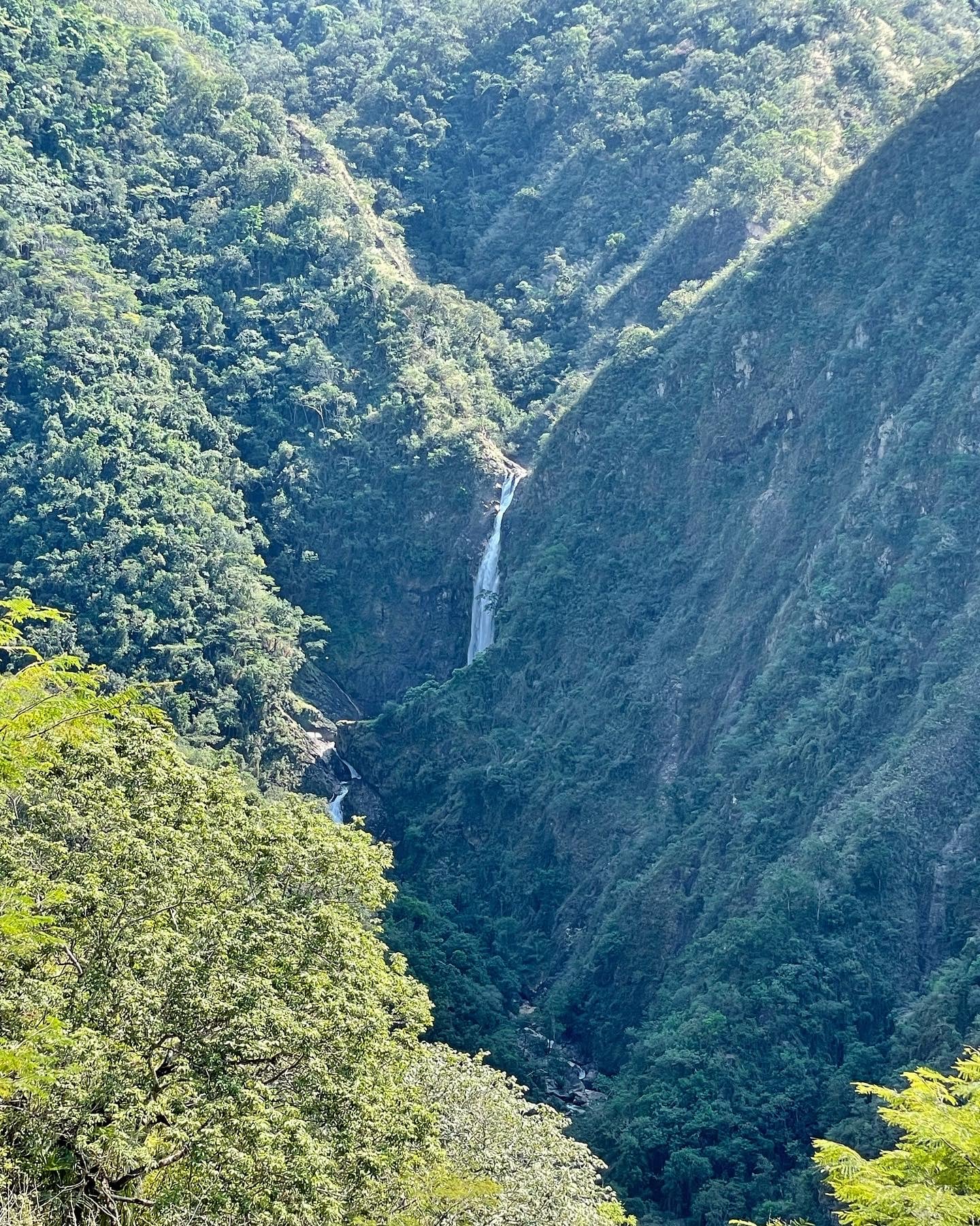 D420BE70-ADEA-4AC2-BC86-A782B605E0D8