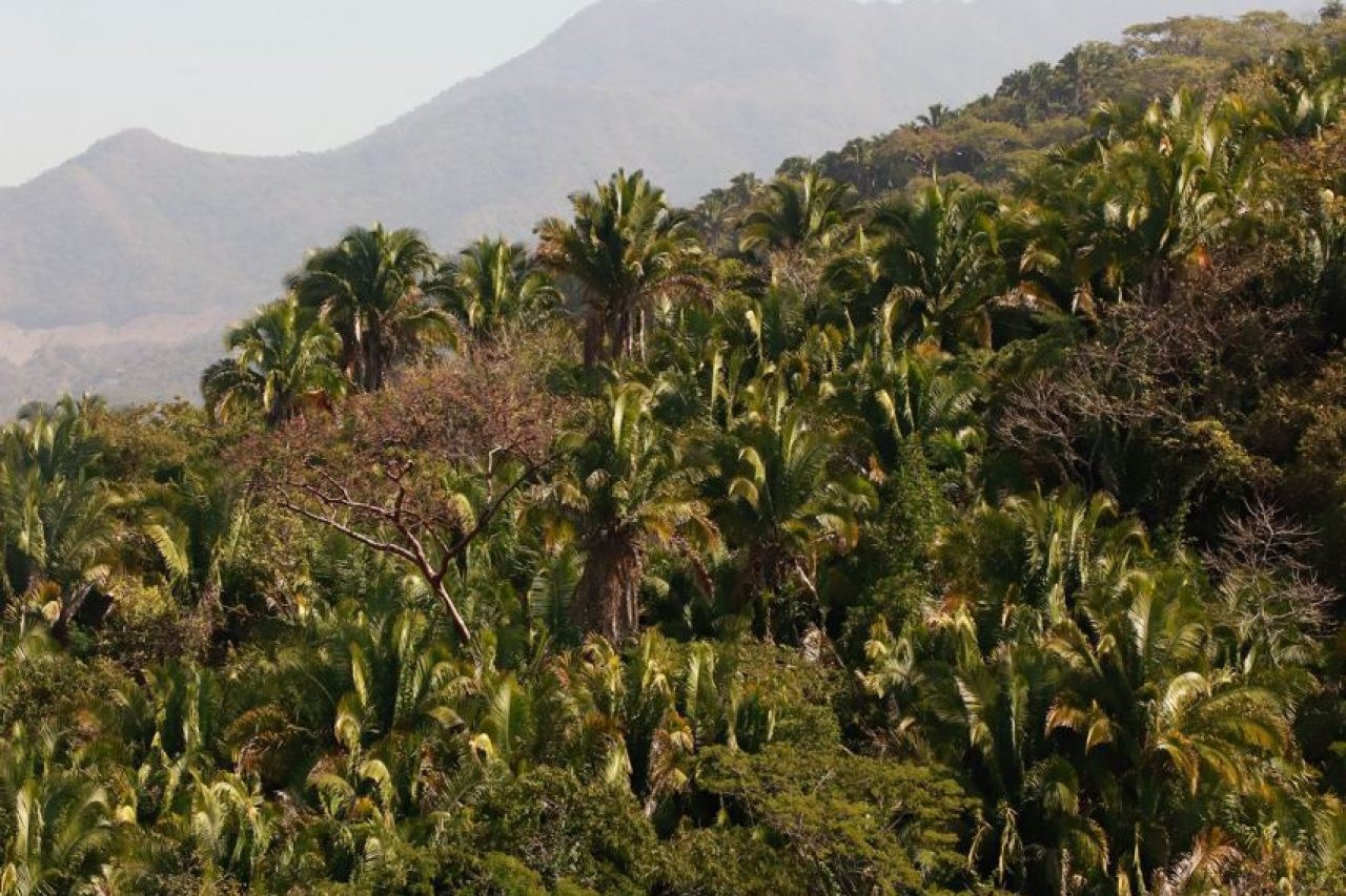 IMAGE 2021-03-29 11:40:54